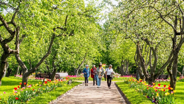 ��������� ����������, ����� ����������� ������� � ������ �������� � �����