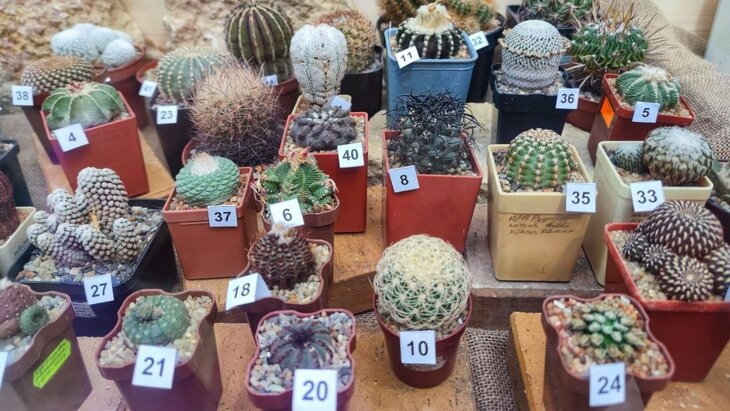 �������� �������� ��������� � "����������� �������" 1 ������