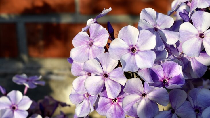 ������� ������ ����� ������������� ����� ��� �������� �������