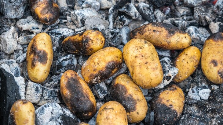 ���� ����������, ����� �� ���������� ���� ���������� � ����� ��������