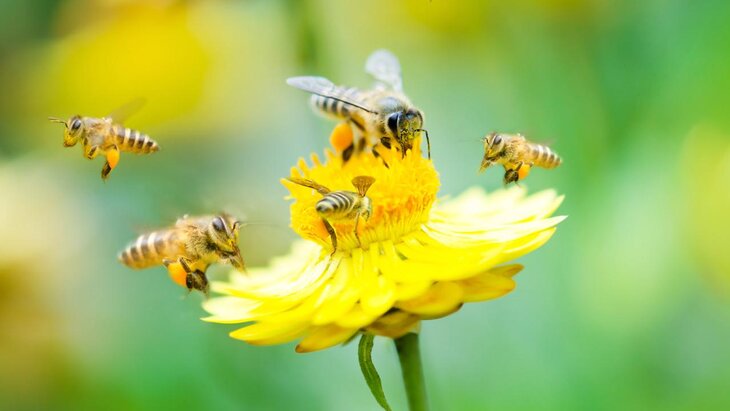 ��� ���� �������� ������� ���������� � ����� �� ���� ������� � �����