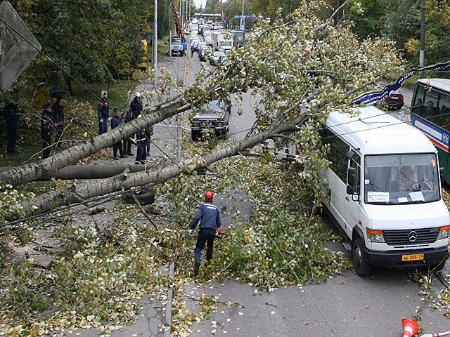В связи с усилением ветра в Москве объявлен «оранжевый» уровень опасности