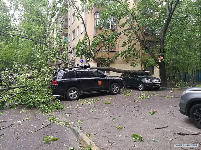 СК Москвы официально подтвердил гибель 15 человек во время урагана