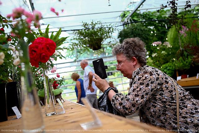 В «Аптекарском огороде» пройдет выставка декоративных кустарников и роз