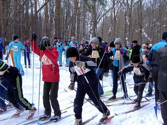 "Плехановская лыжня" для студентов РЭУ и всех желающих