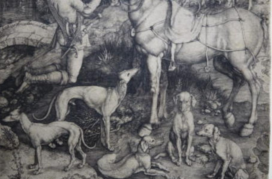 Выставку гравюр Альбрехта Дюрера покажут в Историческом музее