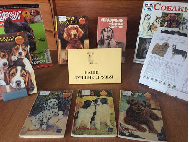 Работники детской библиотеки №45 провели для школьников мероприятие, посвящённое породам собак 