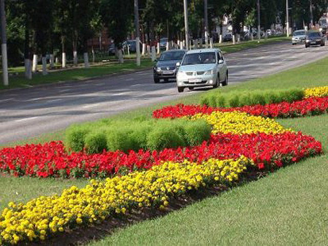 Итогом месячника благоустройства в Москве стало появление около 300 тысяч квадратных метров цветников 
