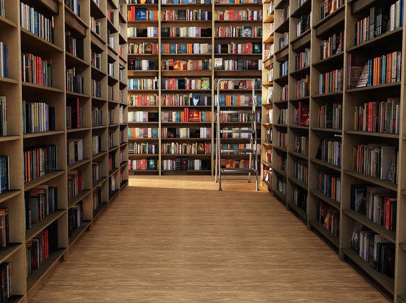 Столичные библиотеки могут стать социальными и культурными центрами  
