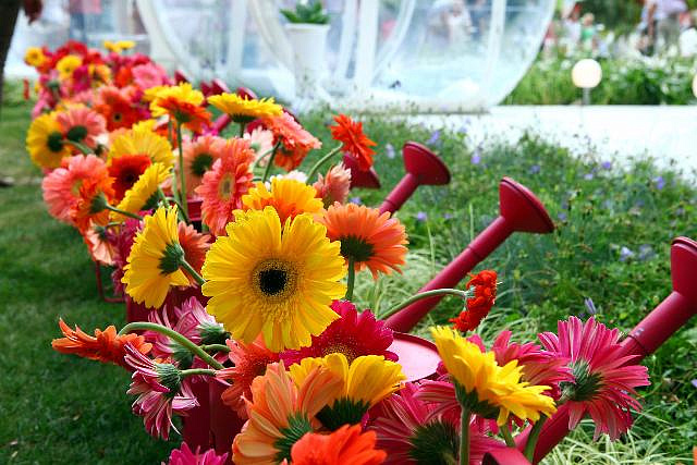 29 июня в столице стартует Международный фестиваль цветов и садов
