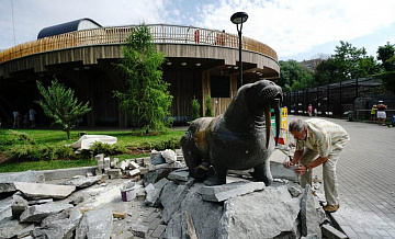 Павильон «Ластоногие» достроили в Московском зоопарке 