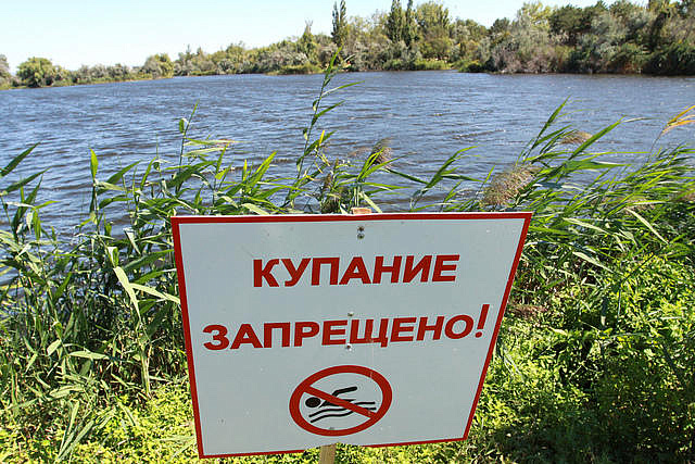 Жители Головинского районе не смогут купаться на пляже «Левобережный» и "Бич-клаб"