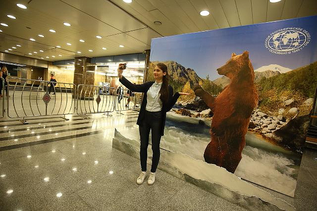 На выставке в галерее «Метро» пассажиры увидят фотографии дикой природы