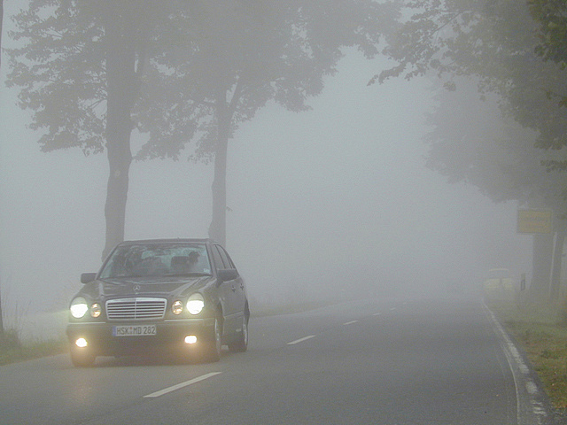 МЧС предупреждает: в ночь с пятницы на субботу на дорогах Москвы возможен туман