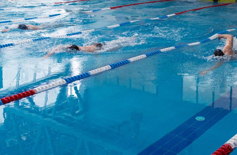 Студенты Плехановского университета участвовали в чемпионате по плаванию