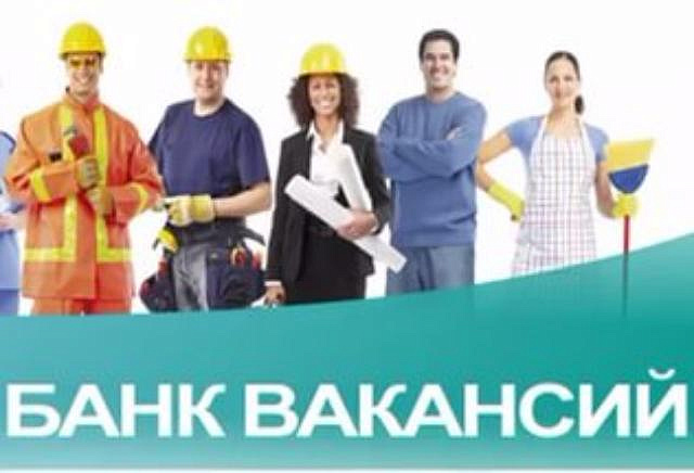 Новый сервис открылся в проекте «Банк вакансий»