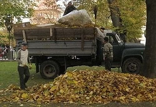 В Головинском районе идёт вывоз осенней листвы 