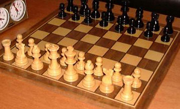 Шахматы для взрослых